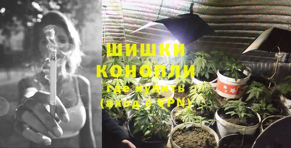 ПСИЛОЦИБИНОВЫЕ ГРИБЫ Краснослободск