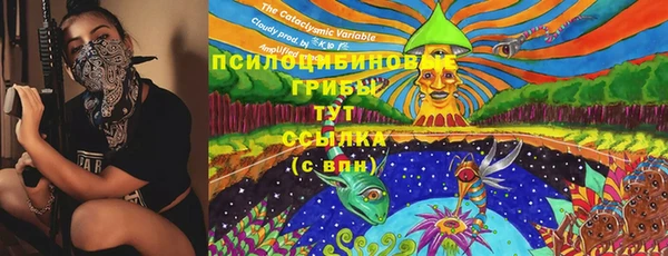 крисы Краснотурьинск