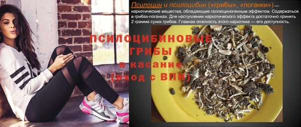ПСИЛОЦИБИНОВЫЕ ГРИБЫ Краснослободск