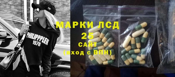 ПСИЛОЦИБИНОВЫЕ ГРИБЫ Краснослободск
