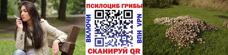 Галлюциногенные грибы GOLDEN TEACHER  Купить закладки  Новый Уренгой 